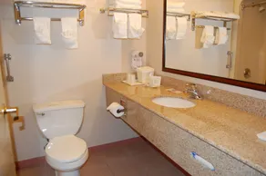 Comfort Inn & Suites Near Fallon Naval Air Station - Salle de bain