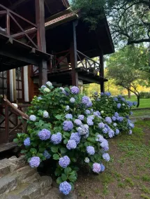 Cabañas Aufenthalt - Habitación