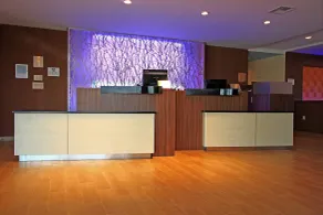 Fairfield Inn & Suites by Marriott London - Réception