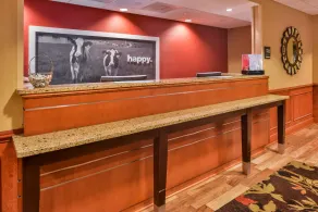 Hampton Inn Emporia - Réception
