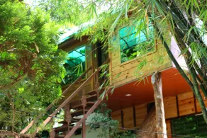 Spring Muunnar, Munnar - Quarto