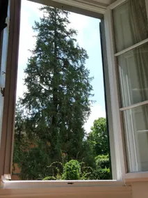 Classic Hotel - View from room