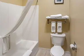 Comfort Inn Evanston I-80 - Salle de bain