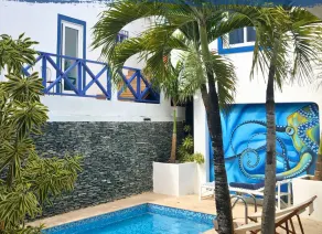 Tribe Inn & Rooftop Lounge - Piscina