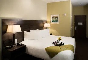 Malana Hotels & Suites - Chambre