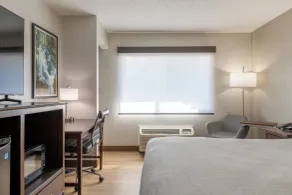 Best Western The Inn at Sharon - Foxboro - Chambre