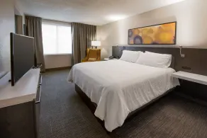 Hilton Garden Inn Las Colinas - Room
