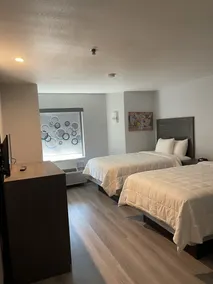 Quality Inn & Suites Richardson-Dallas - Chambre