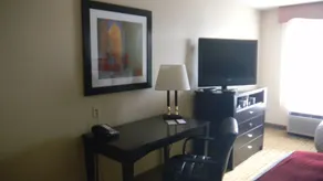 DoubleTree by Hilton Springdale - Chambre
