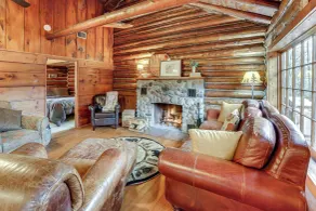 Michigan Log Cabin w/ Pere Marquette River Views - Innvendig