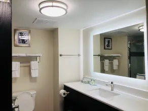 Quality Inn & Suites Lake Charles South - Salle de bain