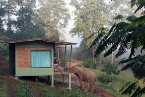 Chiang Mai Elephant Friends - Chambre