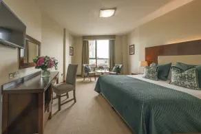 Trim Castle Hotel - Room