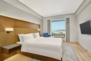 Radisson Hotel Nathdwara - Habitación