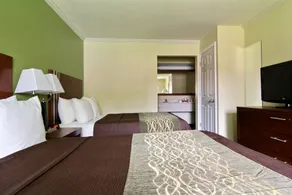 Days Inn by Wyndham Austintown - Chambre