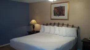 Four Horsemen Motel - Rom