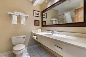 Comfort Inn Muscatine near Hwy 61 - Badezimmer