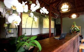 Ubud Raya Boutique Hotel - Réception