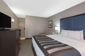 Wingate by Wyndham Charleston Coliseum - Chambre