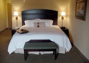 Hampton Inn & Suites Fredericksburg - Chambre
