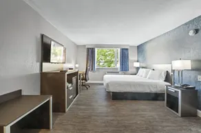 Inn On Arsenal - Chambre