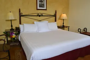 Hotel Dario Granada - Room