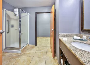La Quinta Inn & Suites by Wyndham Little Rock - Bryant - Badeværelse