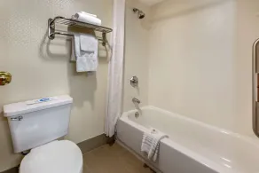 Comfort Inn West Hazleton - Salle de bain