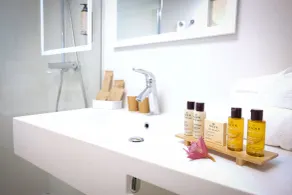 Mercure Perpignan Centre - Salle de bain