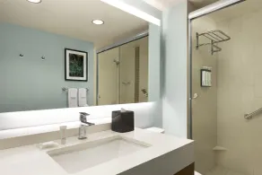 Hyatt Place Columbia/Downtown/The Vista - Salle de bain