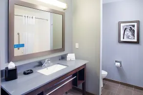 Hampton Inn & Suites Lansing West - Salle de bain
