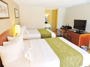 Seasons Florida Resort - Chambre