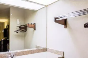 Econo Lodge Birmingham - Hoover - Salle de bain
