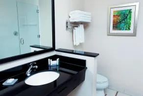 Fairfield Inn & Suites by Marriott Omaha Papillion - Chambre