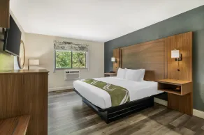 Quality Inn Chesapeake - Greenbrier - Chambre