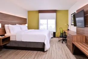 Holiday Inn Express Hotel & Suites Tampa-Anderson Road-Veterans Exp by IHG - Chambre