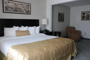 Wingate by Wyndham Houma - Chambre