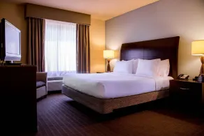 Hilton Garden Inn Lynchburg - Vue de la chambre