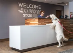 Hampton Inn & Suites Rapid City Rushmore - Réception