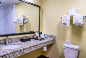 Quality Inn Whiteville North - Badeværelse