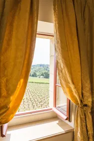 Chambres d'hôtes de Château Renon - Ausblick vom Zimmer