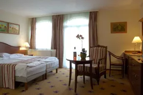 SANTE Hévíz - Habitación