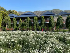 Nature Retreat Resorts- Life in Nature - Restaurant