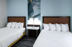 Hampton Inn & Suites Atlanta-Downtown - Chambre
