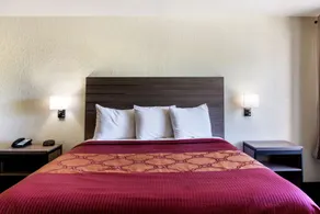 OYO Inn & Suites Medical Center San Antonio - Room
