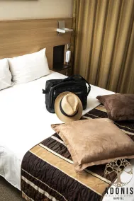 Inter-Hôtel Gapotel, Gap - Chambre
