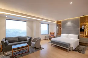 Radisson Blu Towers Kaushambi Delhi NCR - Udsigt fra værelset