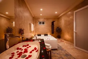 Hotel Hemsa Connect Udaipur - Spa