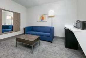 Holiday Inn Express & Suites DALLAS PARK CENTRAL NORTHEAST by IHG - Chambre