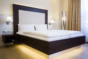 The Heidelberg Exzellenz Hotel - Chambre